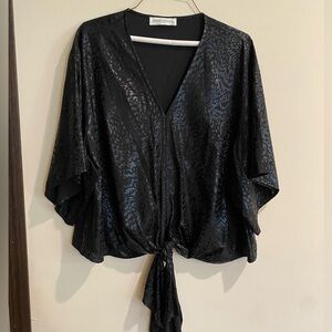 Pants & Pals Black Satin Tie-Front V-Neck Blouse